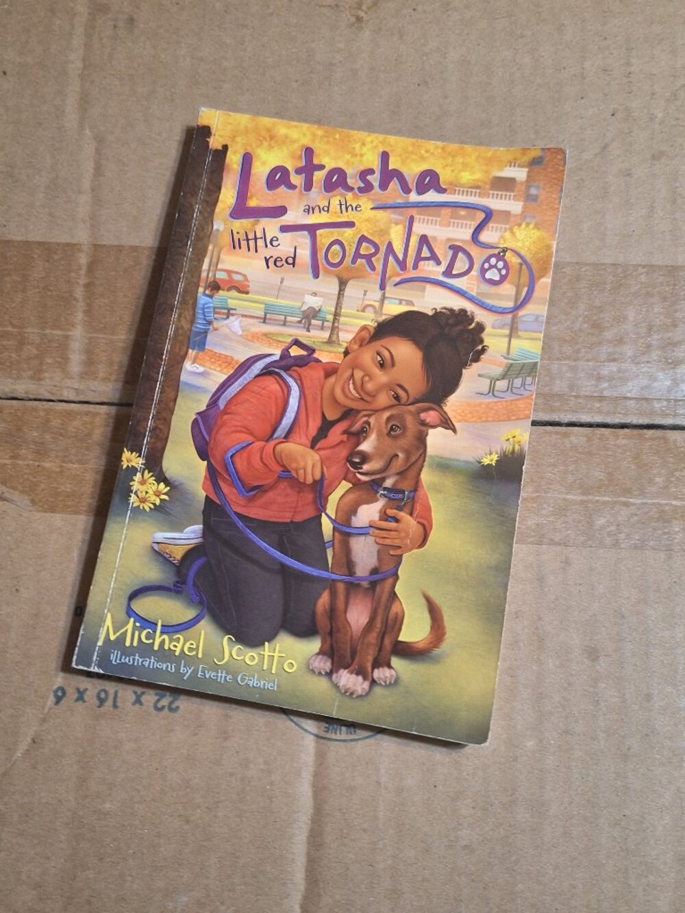 latasha and the little red tornado